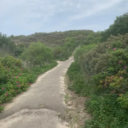 Gasthof Casa Vista Duna - Kijkduin Den Haag